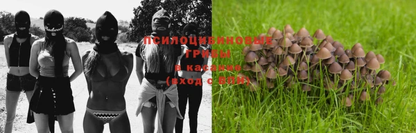 a pvp Снежногорск