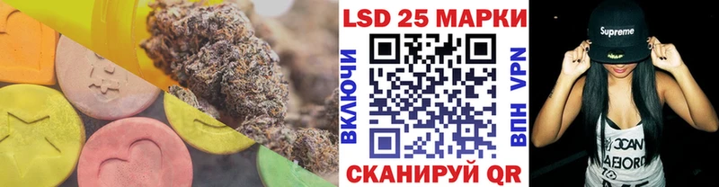 закладка  Котлас  ЛСД экстази ecstasy 