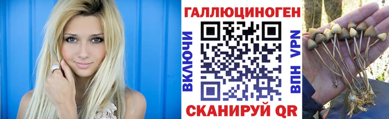 Галлюциногенные грибы мицелий  Котлас 